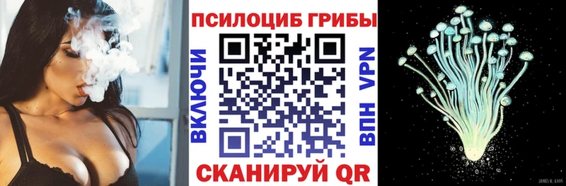 сколько стоит Волоколамск Галлюциногенные грибы ЛСД